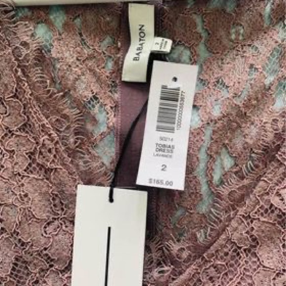 COPY - Aritzia Lace Lavender Dress - Picture 3 of 3
